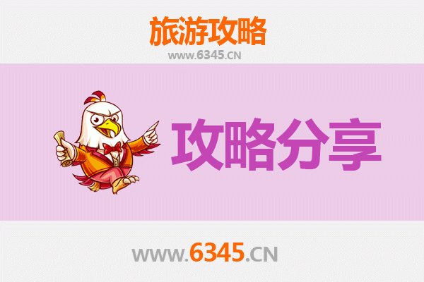 惠州博罗出发湄洲岛旅游攻略：跟团vs自由行深度解析